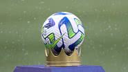 Cesar Greco/Palmeiras