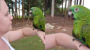 Reprodução/TikTok @clevianemoreira