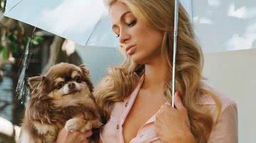 Reprodução/Instagram @parishilton