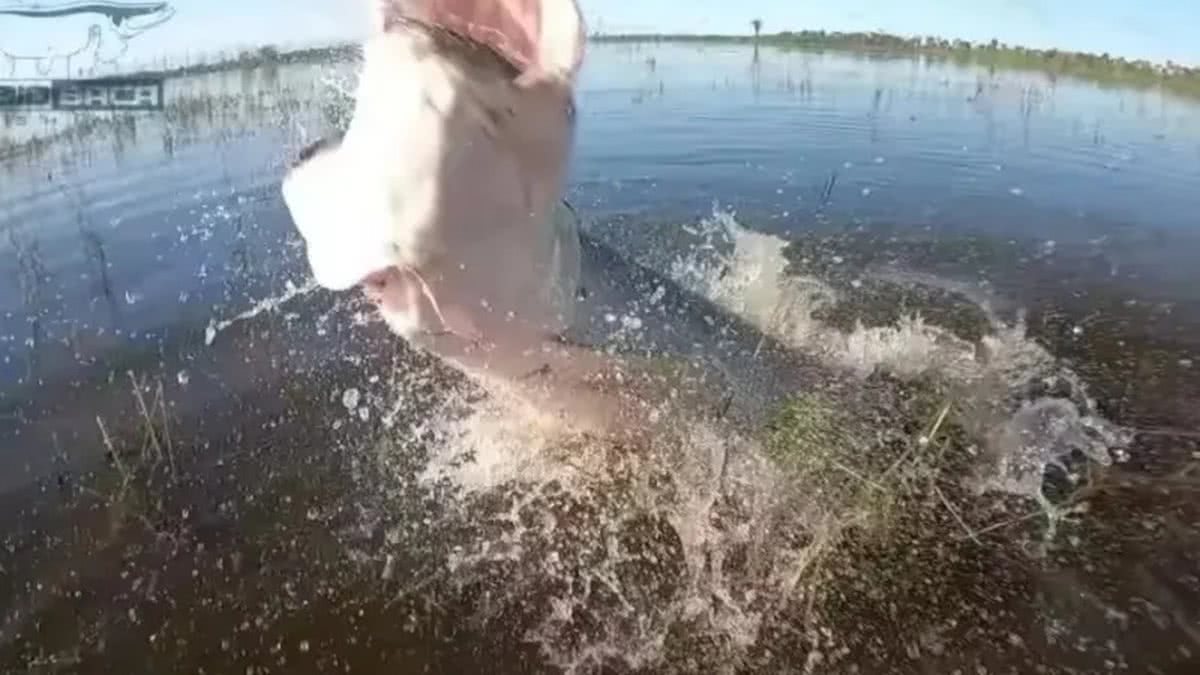 PESCA ESPORTIVA: Porto Velho recebe grandes pescadores do país