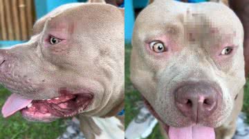 Reprodução/TikTok @gideonefelix