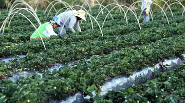 Valter Campanato/Agência Brasil