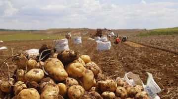 Gilson Abreu/Agência Estadual de Notícias