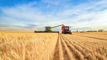 Divulgação/Ministério da Agricultura e Pecuária