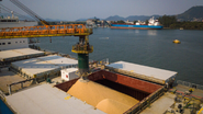 Divulgação/Porto de Santos