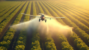 Reprodução/Freepik