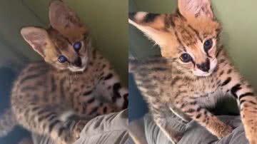 Reprodução/Instagram @oruam__