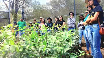 Divulgação/Ascom Seagri