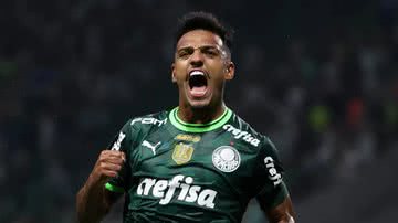 Divulgação / Palmeiras