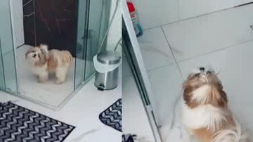 Fabio Rodrigues-Pozzebom/ Agência Brasil