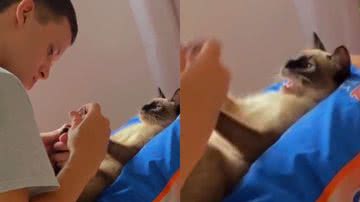 Reprodução/TikTok @_nii_cardoso