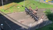 Reprodução/ Vídeo