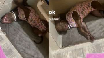 Reprodução/ Vídeo