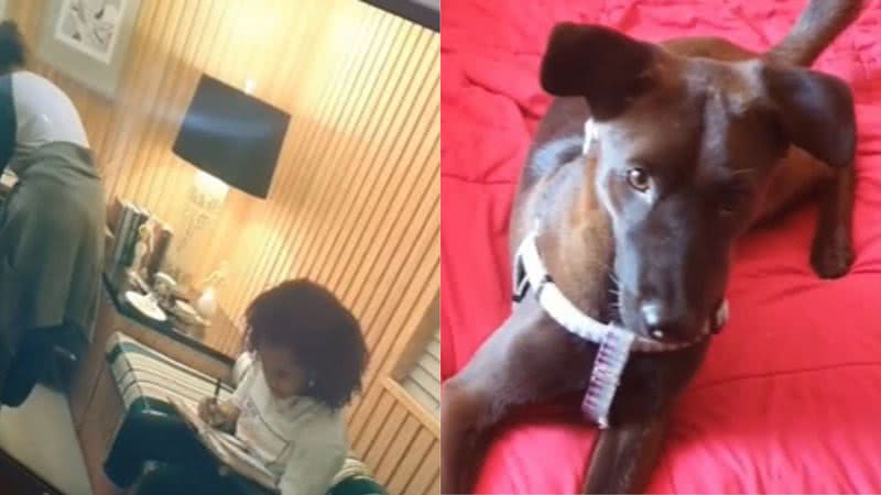 Reprodução/ Vídeo