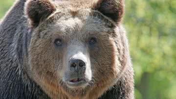 Marcel Langthim por Pixabay