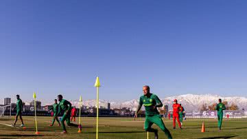 Marcelo Gonçalves/Fluminense