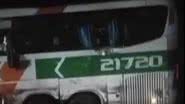 Acidente entre ônibus e caminhão na BR 101 - Reprodução / Redes Sociais