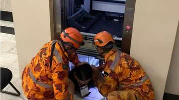 Bombeiros/ Divulgação