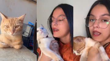 Reprodução// TikTok @taciahellennn