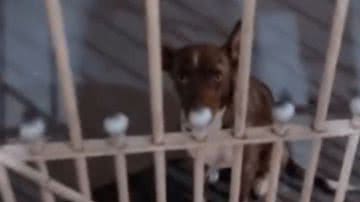 Reprodução//TikTok @nathaliaghata_