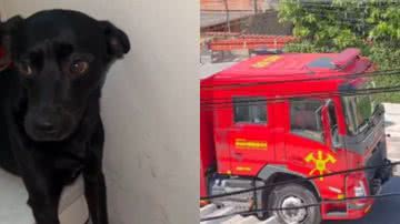 Reprodução// TikTok @dyannaguerra