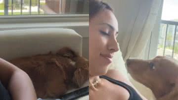 Reprodução// TikTok @manoellacampello