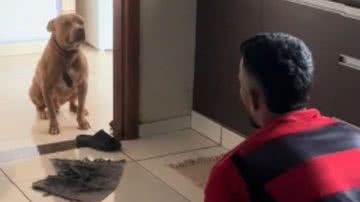 Reprodução// TikTok @gideonmarcos123