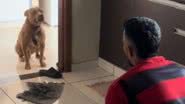 Reprodução// TikTok @gideonmarcos123