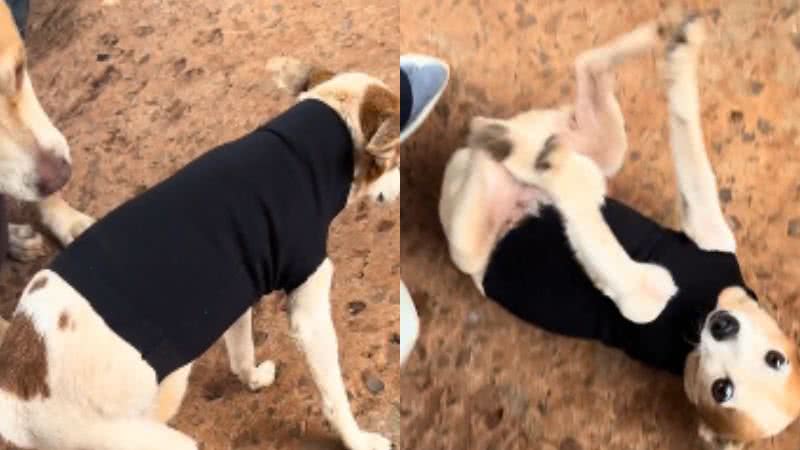 Reprodução// TikTok @paullosergio4