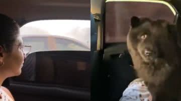 Reprodução// TikTok @luanaathuanny