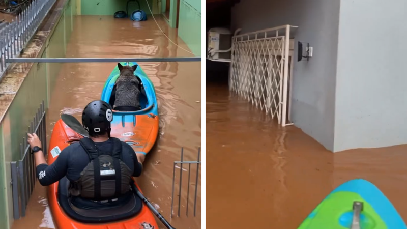 Reprodução/Redes sociais/Instagram/@pedroaversa