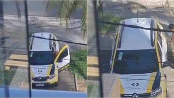 Reprodução