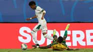 Cesar Greco/Palmeiras