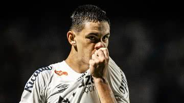 Raul Baretta/Santos FC
