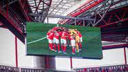Reprodução / Redes Sociais / Instagram / @slbenfica