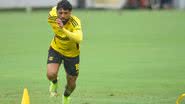 Marcelo Cortes / Flamengo