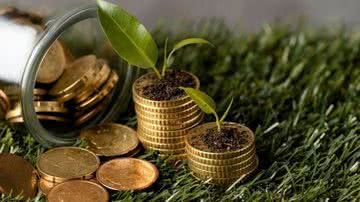 Divulgação / Freepik