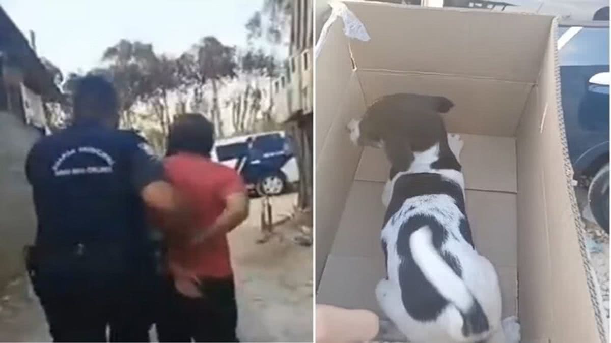VÍDEO: Homem é preso em flagrante ao abusar de cadela