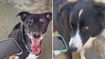 Reprodução / Redes Sociais