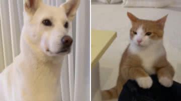 Reprodução / Redes Sociais