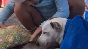 Reprodução / Redes Sociais