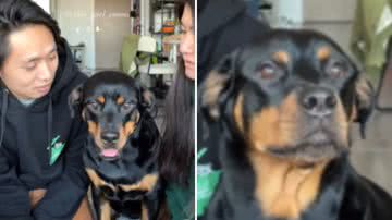 Reprodução / Redes Sociais