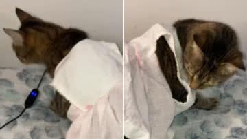 Reprodução / Redes Sociais