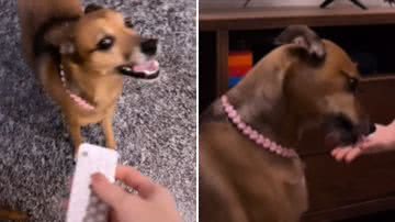 Reprodução / Instagram