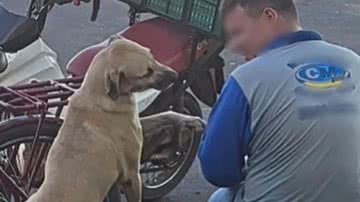 Reprodução / Instagram