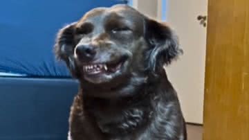 Reprodução / Instagram