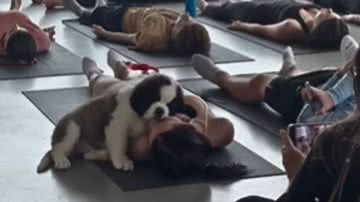 Reprodução / Instagram