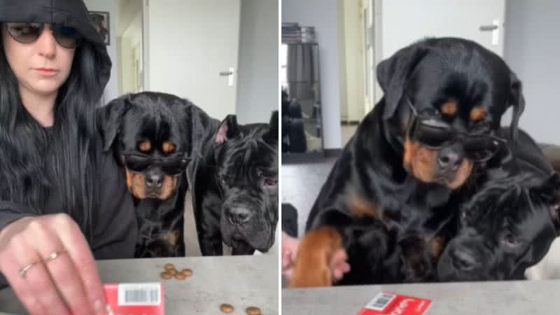 Reprodução / Instagram