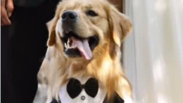 Reprodução / Instagram