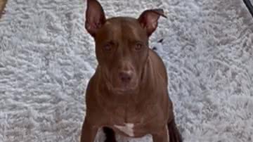 Reprodução / Instagram